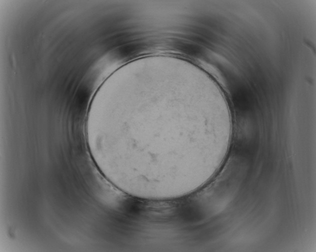 X0000091501338200709131843