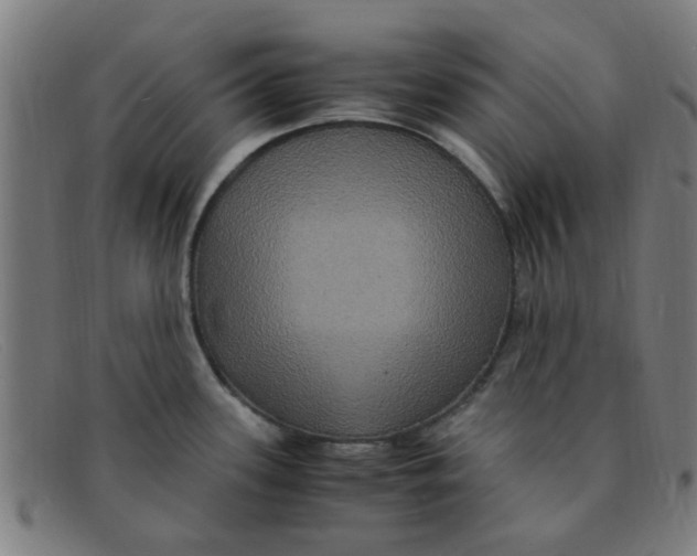 X0000091501339200709131843