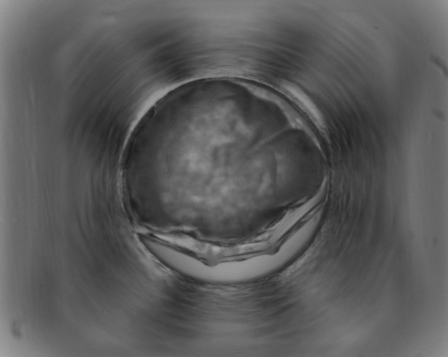 X0000091501340200709131843