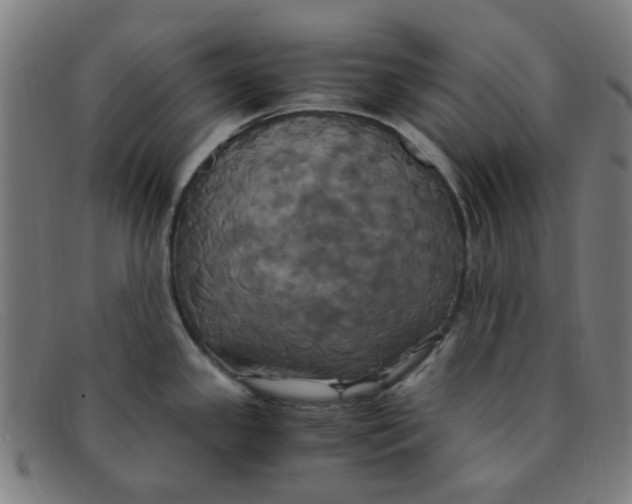 X0000091501341200709131843