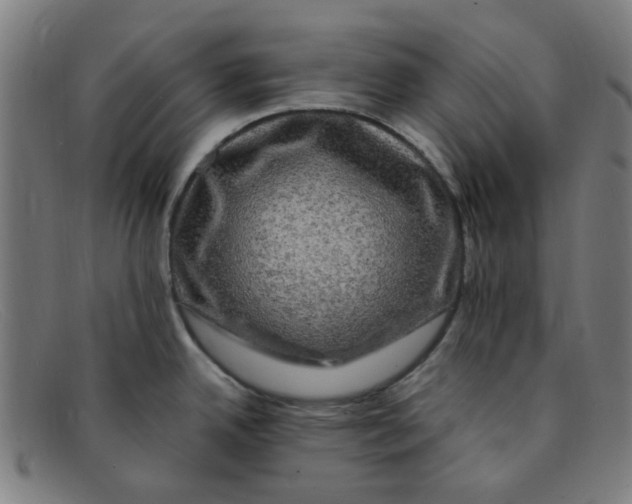 X0000091501342200709131843