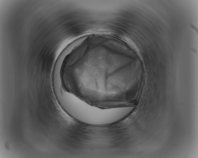 X0000091501344200709131843