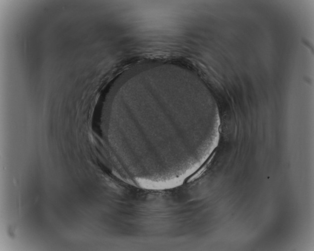 X0000091501345200709131842