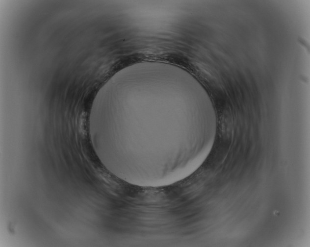 X0000091501346200709131842