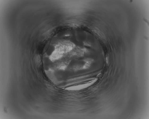 X0000091501347200709131842