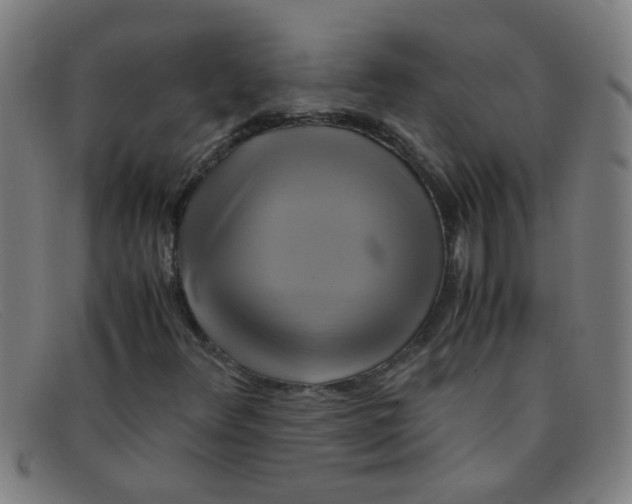 X0000091501348200709131842