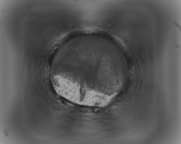 X0000091501349200709131842