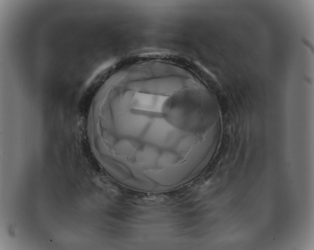 X0000091501351200709131842