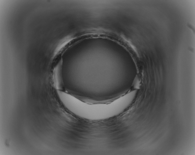 X0000091501352200709131842