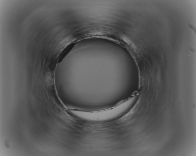 X0000091501353200709131842