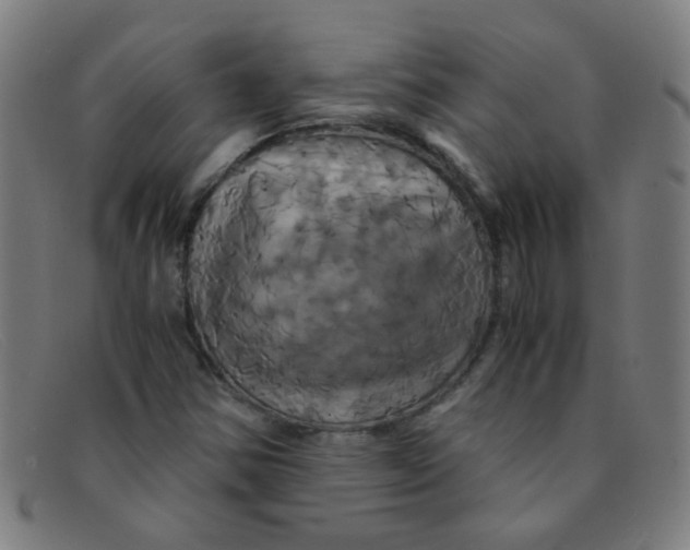 X0000091501354200709131842