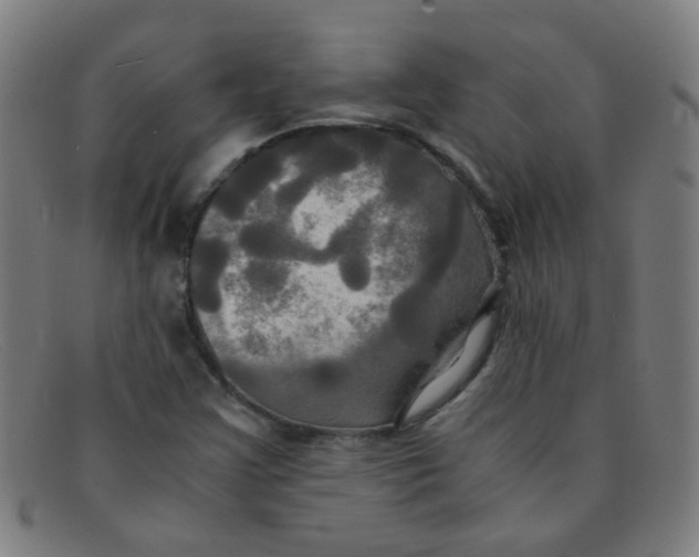 X0000091501355200709131842