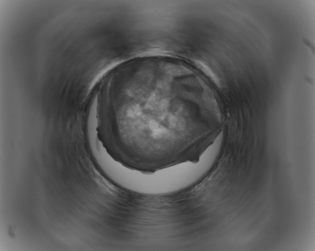 X0000091501356200709131842