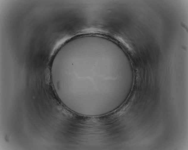 X0000091501358200709131842