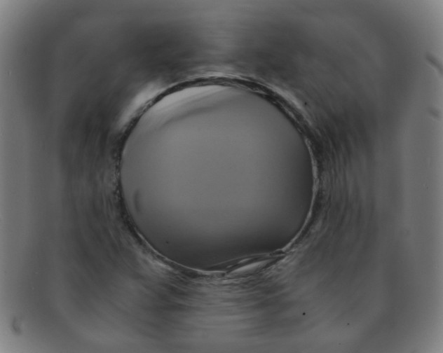 X0000091501359200709131842