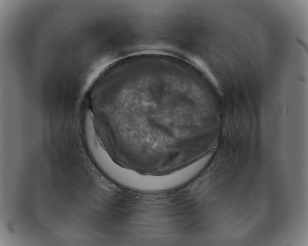 X0000091501360200709131842