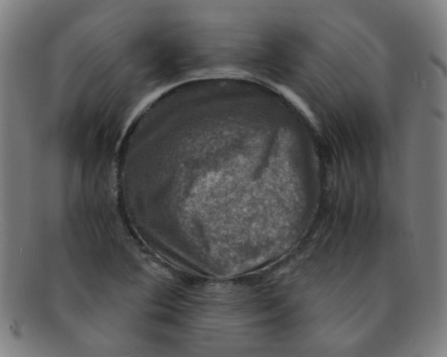 X0000091501364200709131842