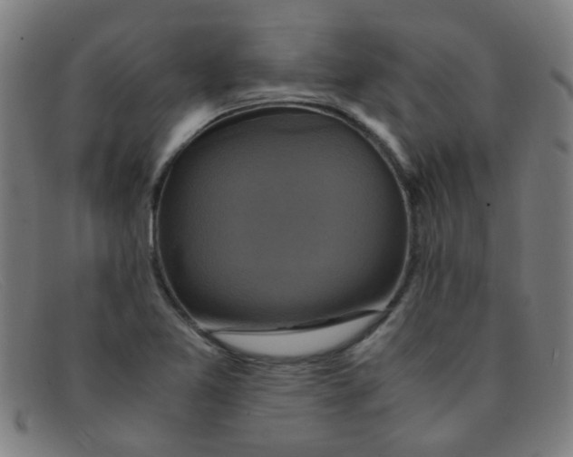 X0000091501365200709131842