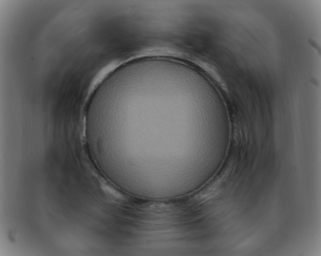 X0000091501366200709131842