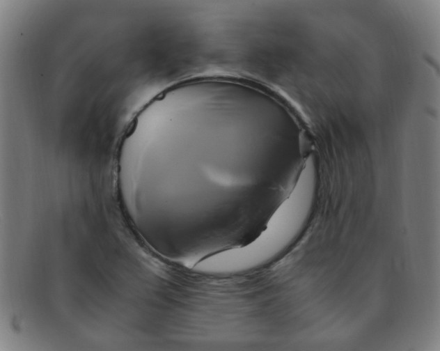 X0000091501367200709131842