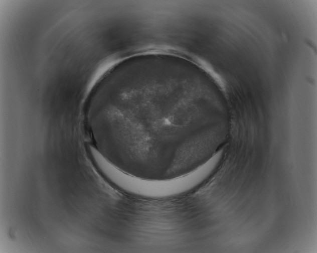 X0000091501368200709131842