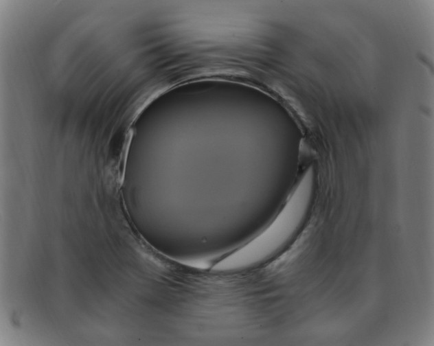 X0000091501369200709131842