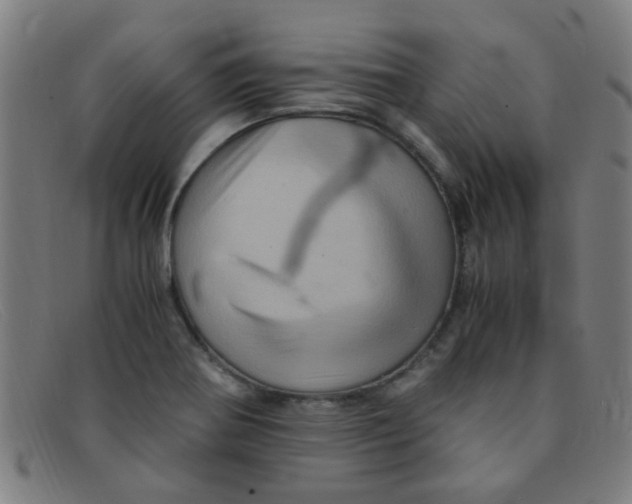 X0000091501370200709131842