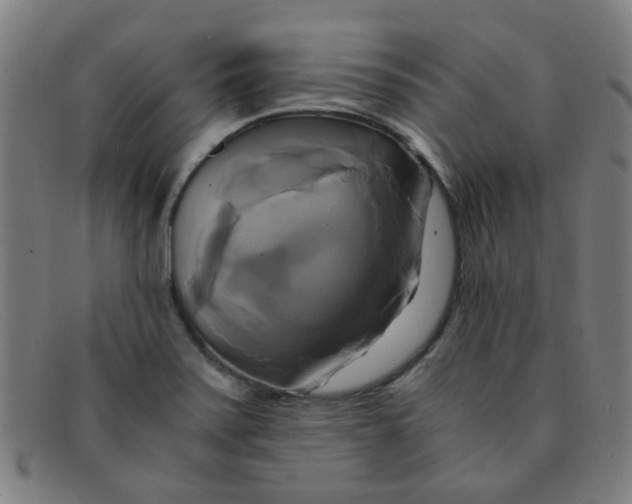 X0000091501371200709131842