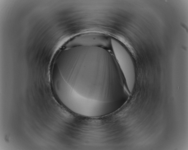 X0000091501372200709131842