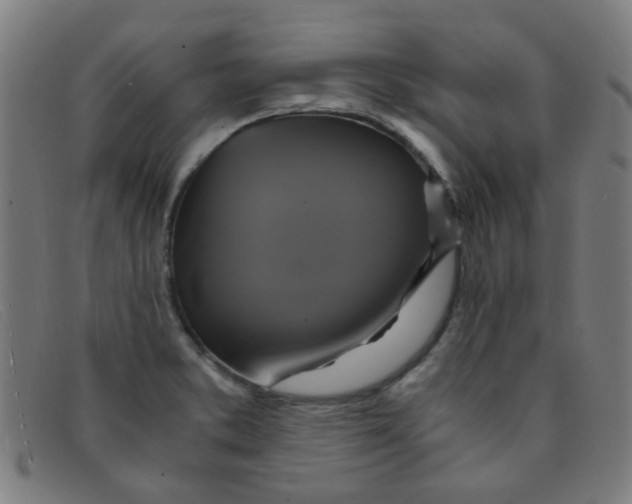 X0000091501373200709131842