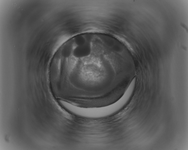 X0000091501375200709131842