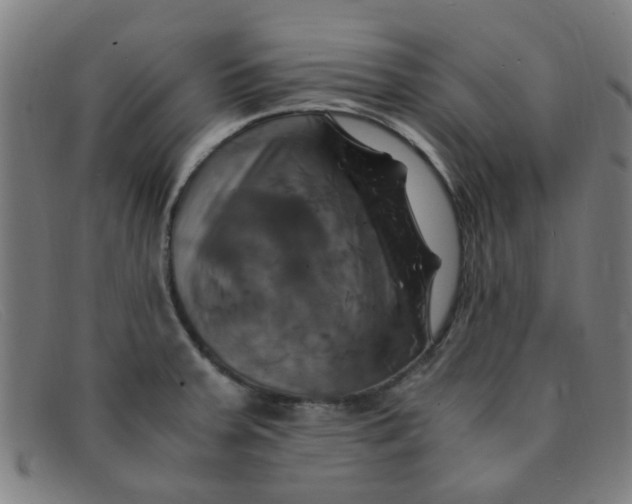 X0000091501379200709131842