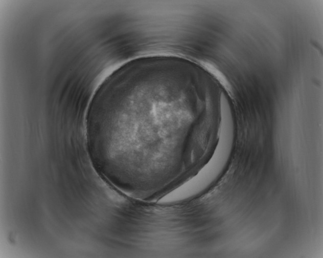 X0000091501380200709131842