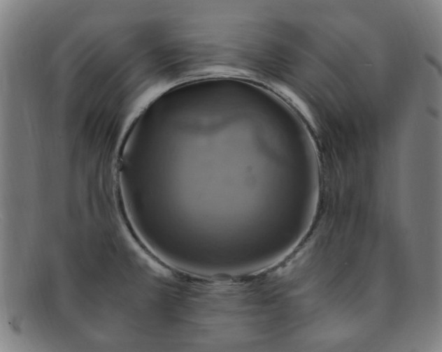 X0000091501381200709131842