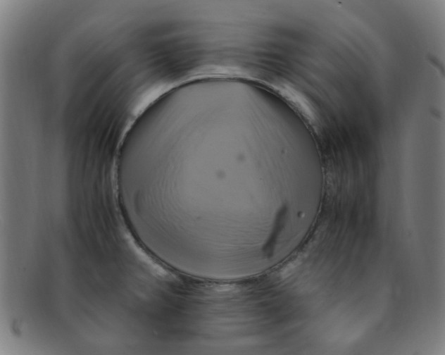 X0000091501382200709131842