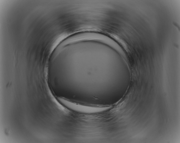 X0000091501383200709131842