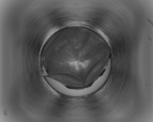 X0000091501384200709131842