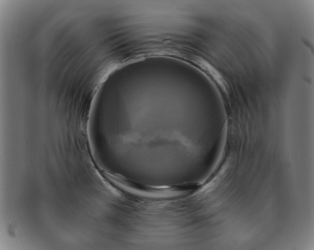 X0000091501385200709131842