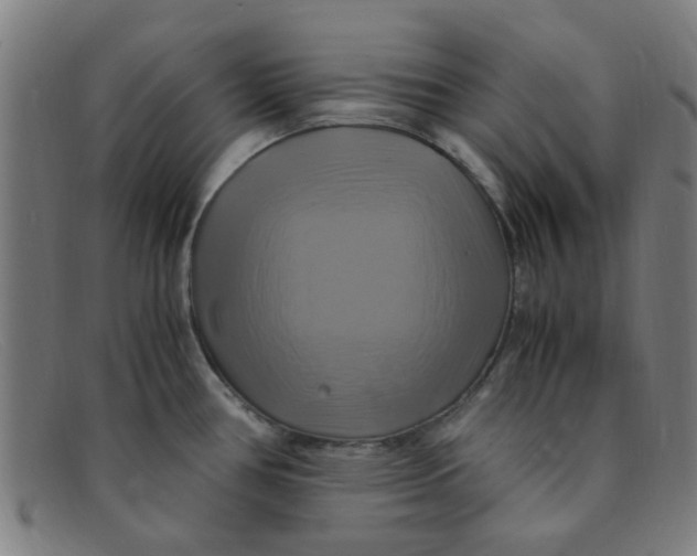 X0000091501386200709131842