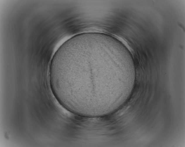 X0000091501387200709131842