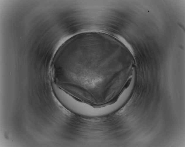 X0000091501388200709131842