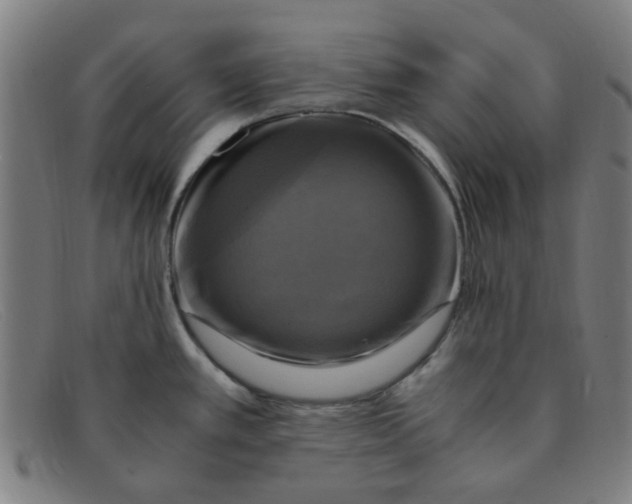 X0000091501389200709131842