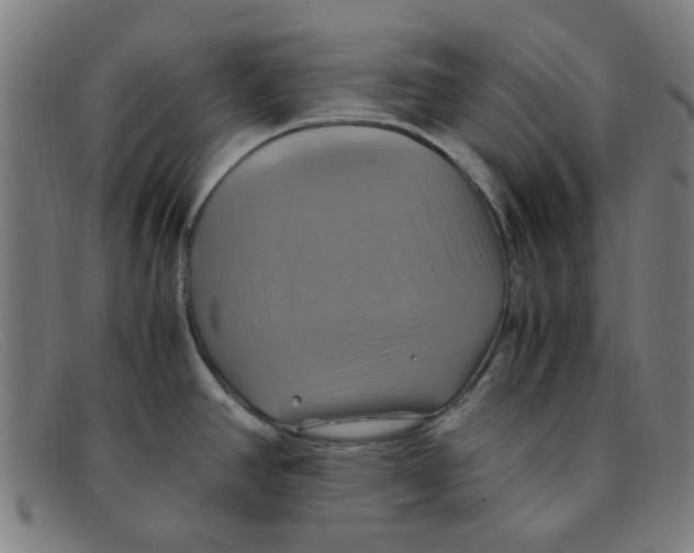 X0000091501390200709131842