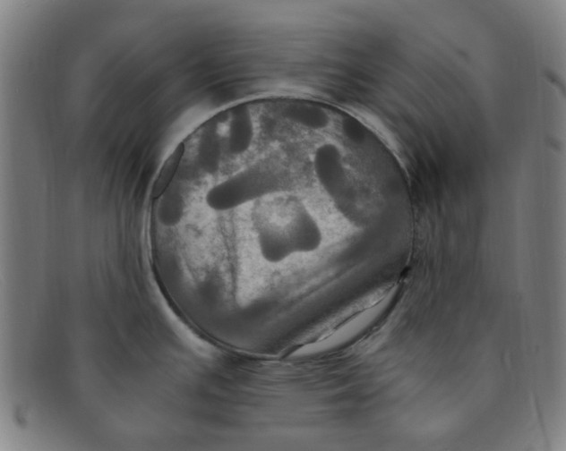 X0000091501391200709131842