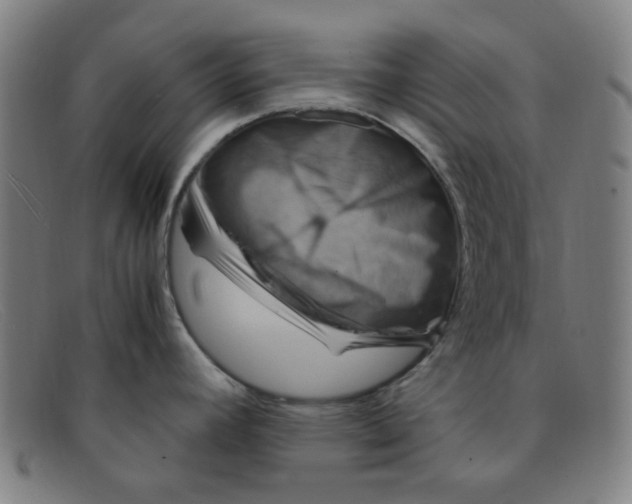 X0000091501392200709131842