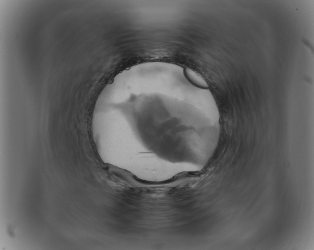 X0000091501393200709131841