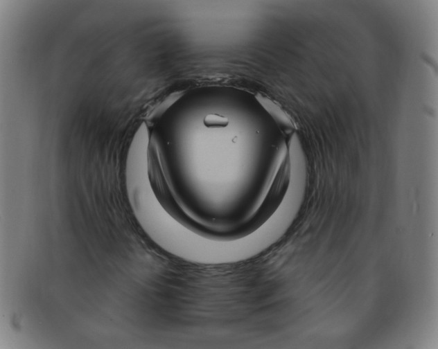 X0000091501394200709131841