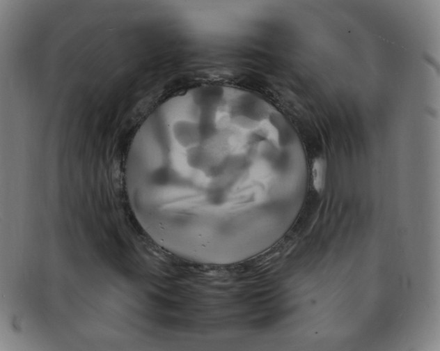 X0000091501395200709131841