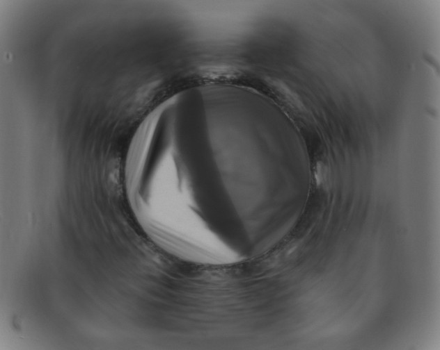 X0000091501396200709131841