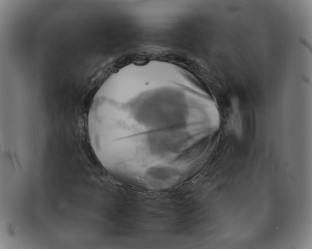 X0000091501397200709131841